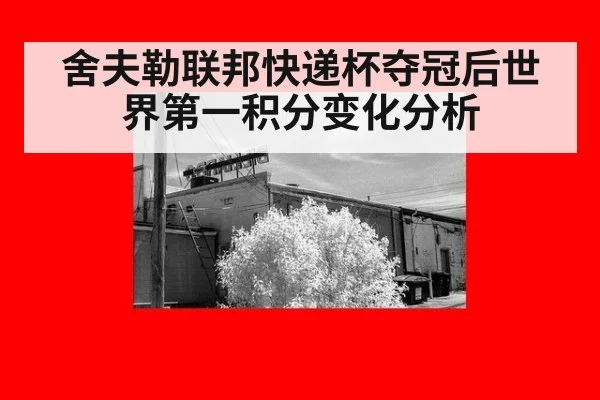 舍夫勒联邦快递杯夺冠后世界第一积分变化分析